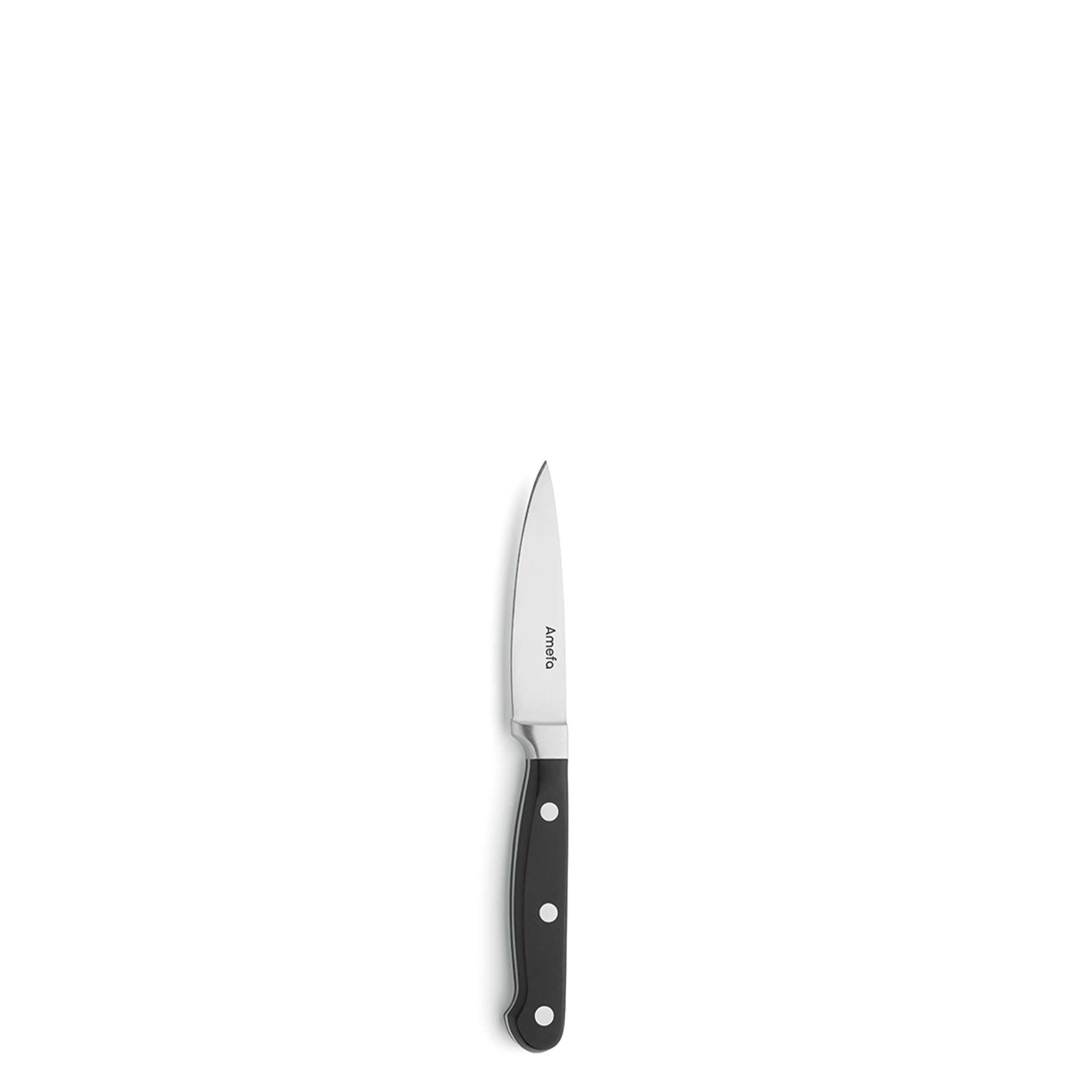 PREMIUM Larding Knife